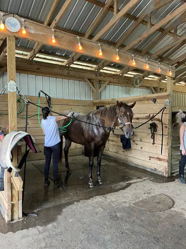 Devotion Camp at Horses and Hope, July 23, photo 23