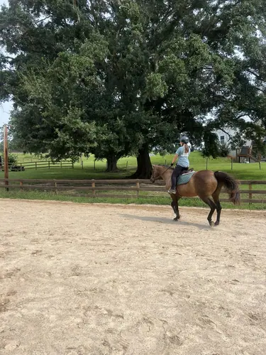 Advanced Camp at Horses and Hope, July 27 to 29, photo 5