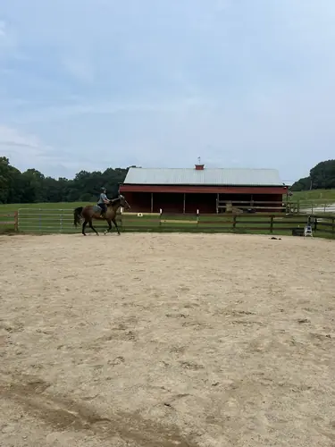 Advanced Camp at Horses and Hope, July 27 to 29, photo 7