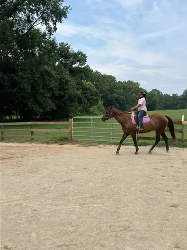 Advanced Camp at Horses and Hope, July 27 to 29, photo 14