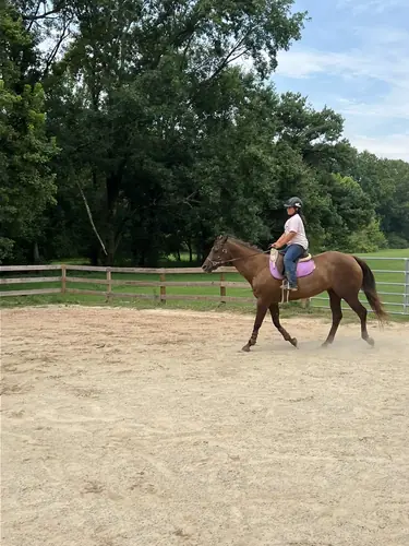 Advanced Camp at Horses and Hope, July 27 to 29, photo 15