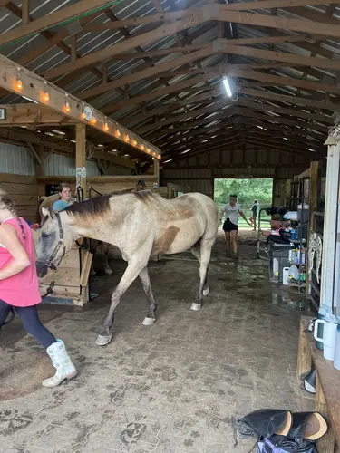 Advanced Camp at Horses and Hope, July 27 to 29, photo 16