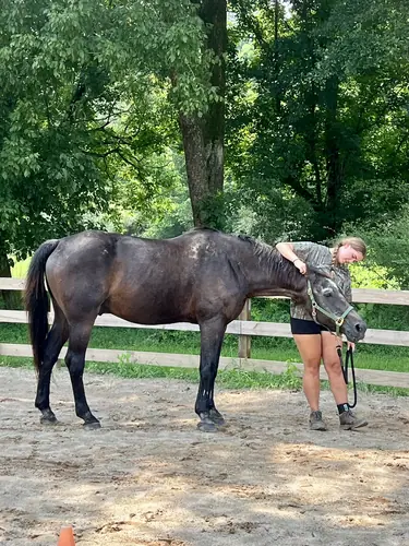 Advanced Camp at Horses and Hope, July 27 to 29, photo 27
