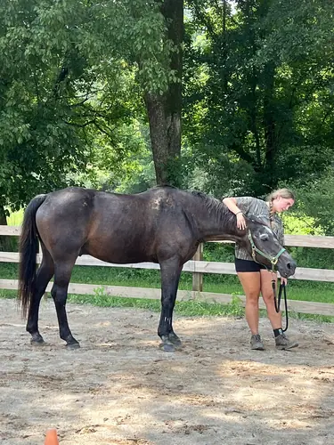 Advanced Camp at Horses and Hope, July 27 to 29, photo 28
