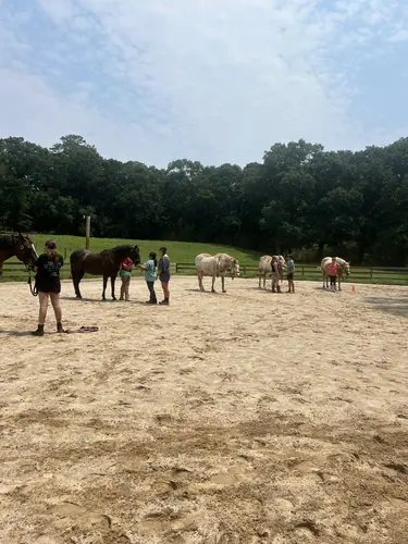Advanced Camp at Horses and Hope, July 27 to 29, photo 35