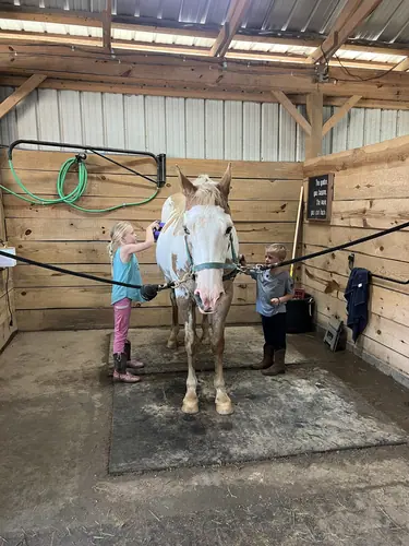 Devotion Camp at Horses and Hope, July 9, photo 5