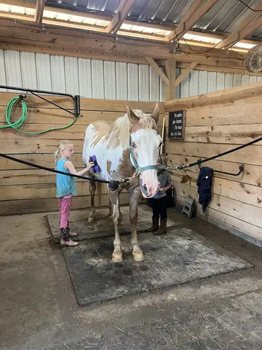 Devotion Camp at Horses and Hope, July 9, photo 6