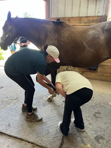 Devotion Camp at Horses and Hope, July 9, photo 9