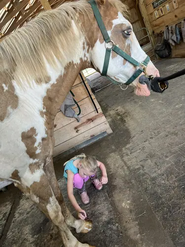 Devotion Camp at Horses and Hope, July 9, photo 11