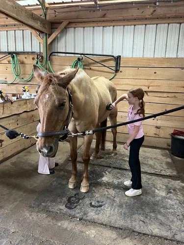 Devotion Camp at Horses and Hope, July 9, photo 18