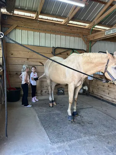 Devotion Camp at Horses and Hope, July 9, photo 19