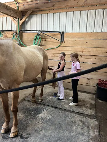 Devotion Camp at Horses and Hope, July 9, photo 20