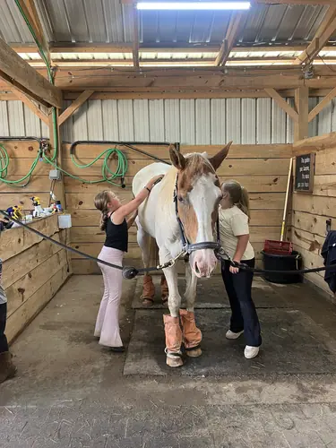 Devotion Camp at Horses and Hope, July 9, photo 21