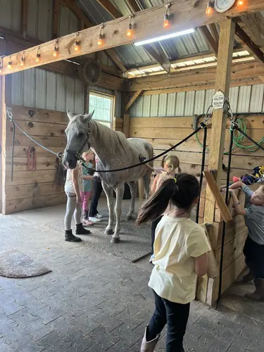 Devotion Camp at Horses and Hope, July 9, photo 22