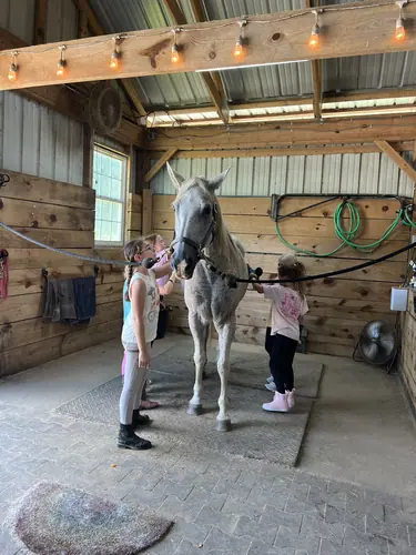 Devotion Camp at Horses and Hope, July 9, photo 23
