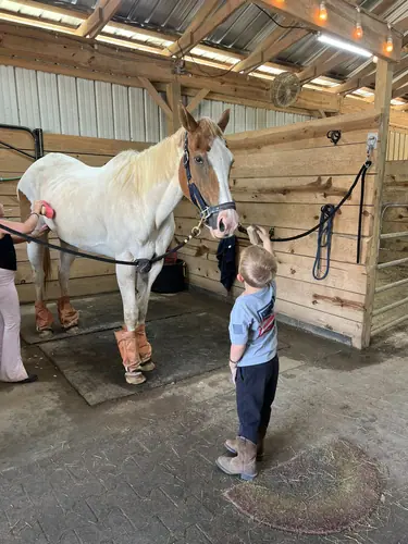 Devotion Camp at Horses and Hope, July 9, photo 24