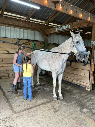 Beginner 1-Day Camp at Horses and Hope, June 18, photo 1