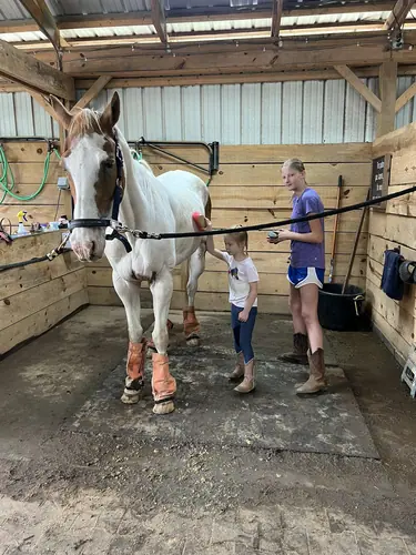 Beginner 1-Day Camp at Horses and Hope, June 18, photo 2