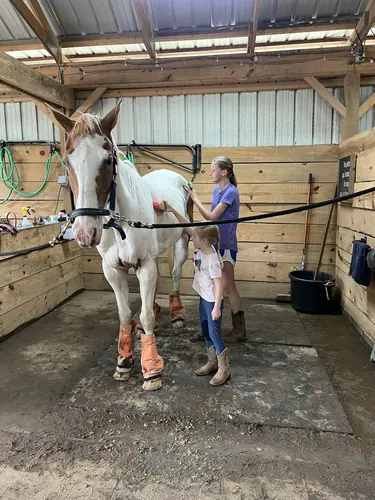 Beginner 1-Day Camp at Horses and Hope, June 18, photo 3