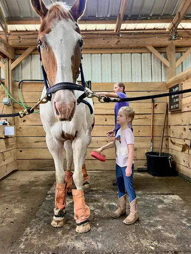 Beginner 1-Day Camp at Horses and Hope, June 18, photo 4