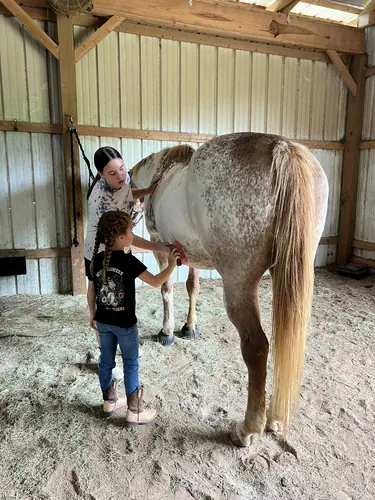 Beginner 1-Day Camp at Horses and Hope, June 18, photo 7