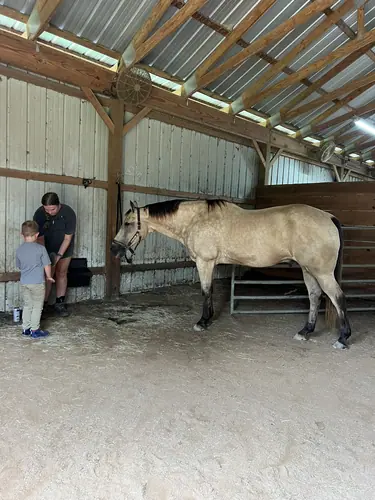 Beginner 1-Day Camp at Horses and Hope, June 18, photo 8