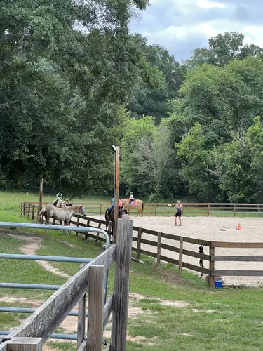 Beginner 1-Day Camp at Horses and Hope, June 18, photo 10