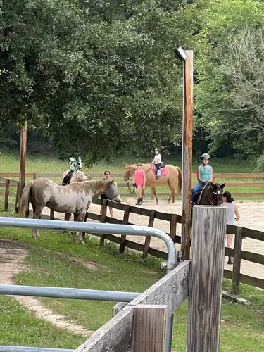 Beginner 1-Day Camp at Horses and Hope, June 18, photo 11