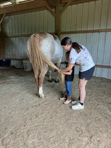 Beginner 1-Day Camp at Horses and Hope, June 18, photo 16