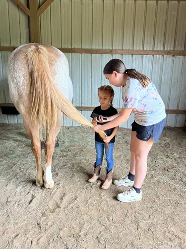 Beginner 1-Day Camp at Horses and Hope, June 18, photo 17