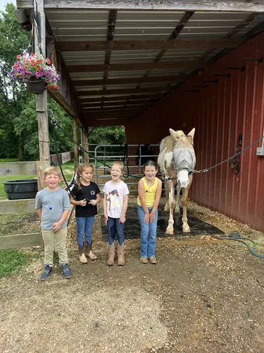Beginner 1-Day Camp at Horses and Hope, June 18, photo 19