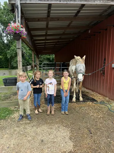 Beginner 1-Day Camp at Horses and Hope, June 18, photo 20