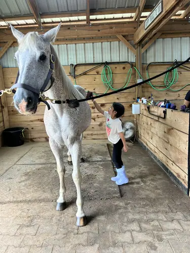 Beginner 1-Day Camp at Horses and Hope, June 18, photo 22