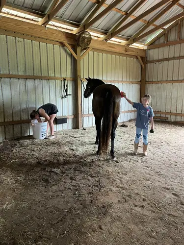 Beginner 1-Day Camp at Horses and Hope, June 18, photo 24