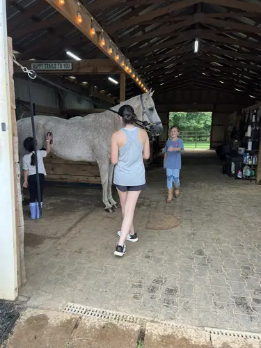 Beginner 1-Day Camp at Horses and Hope, June 18, photo 25