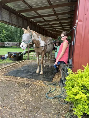 Beginner 1-Day Camp at Horses and Hope, June 18, photo 26