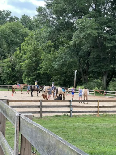 Beginner 1-Day Camp at Horses and Hope, June 18, photo 27