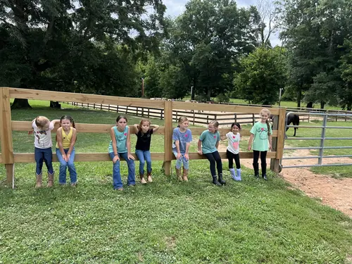 Beginner 1-Day Camp at Horses and Hope, June 18, photo 31