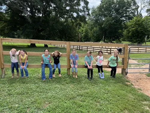 Beginner 1-Day Camp at Horses and Hope, June 18, photo 32