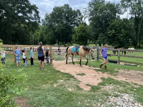 Beginner 1-Day Camp at Horses and Hope, June 18, photo 36