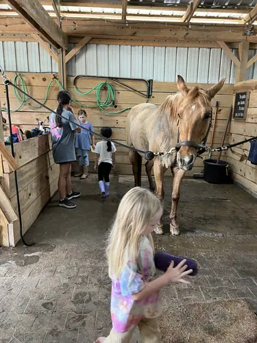 Beginner 1-Day Camp at Horses and Hope, June 18, photo 39