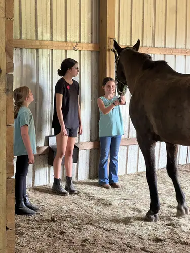 Beginner 1-Day Camp at Horses and Hope, June 18, photo 41