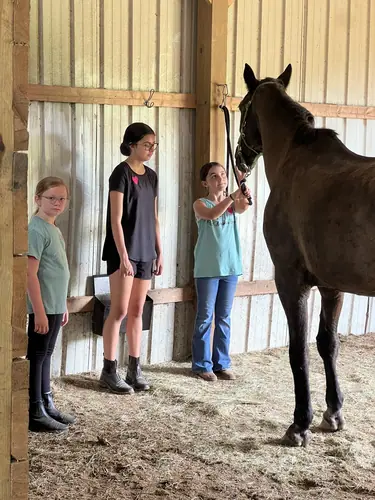 Beginner 1-Day Camp at Horses and Hope, June 18, photo 42