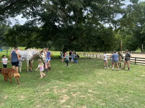 Beginner 1-Day Camp at Horses and Hope, June 18, photo 50