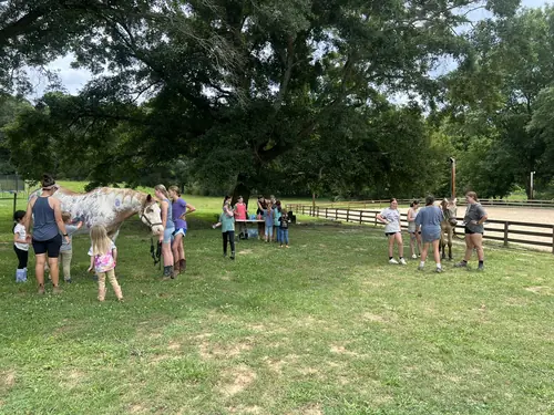 Beginner 1-Day Camp at Horses and Hope, June 18, photo 51