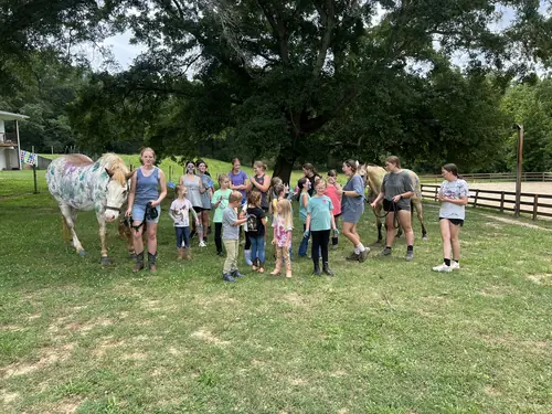Beginner 1-Day Camp at Horses and Hope, June 18, photo 52