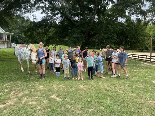 Beginner 1-Day Camp at Horses and Hope, June 18, photo 53