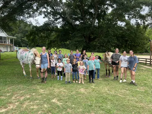 Beginner 1-Day Camp at Horses and Hope, June 18, photo 56