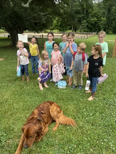 Beginner 1-Day Camp at Horses and Hope, June 18, photo 64