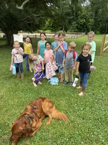 Beginner 1-Day Camp at Horses and Hope, June 18, photo 65